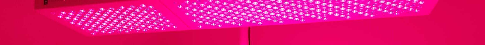 Red Light Therapy